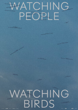 Watching People Watching Birds