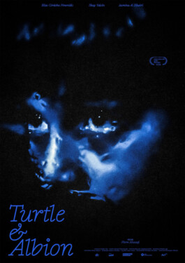 Turtle & Albion