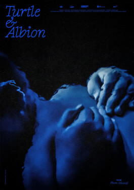 Turtle & Albion